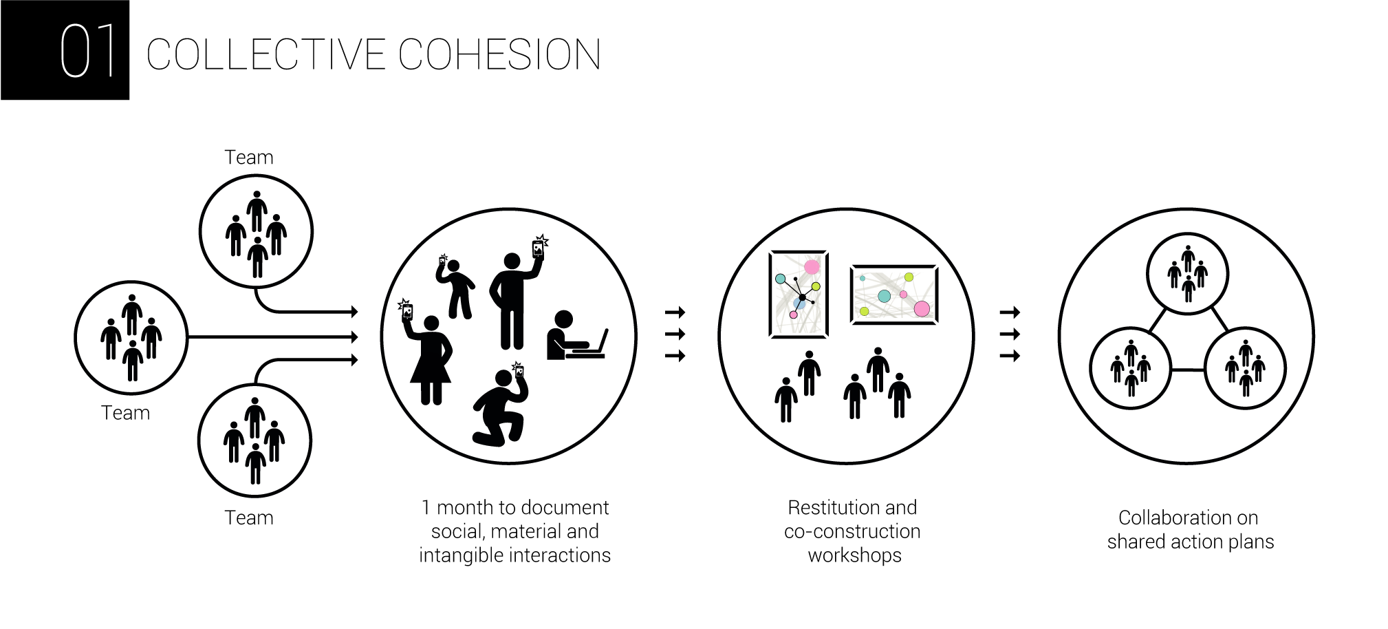 AnthropoviZ - collective cohesion 